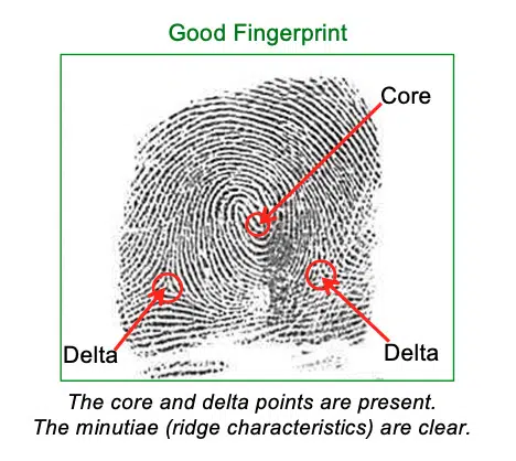Example of a Good Fingerprint