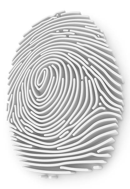 fingerprinting Toronto